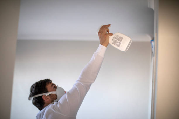Attic Mold Removal in Grayslake, IL